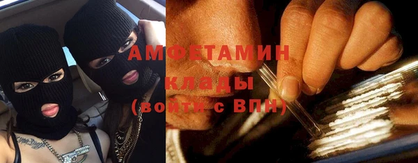 гидра Богданович