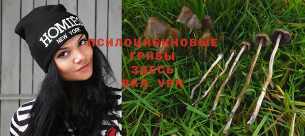 гидра Богданович