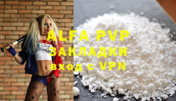 гидра Богданович