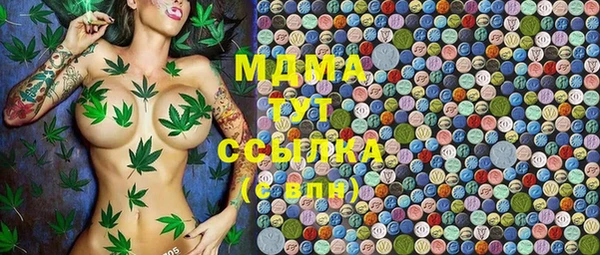 гидра Богданович