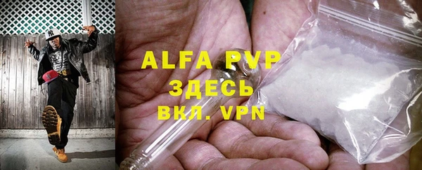 гидра Богданович
