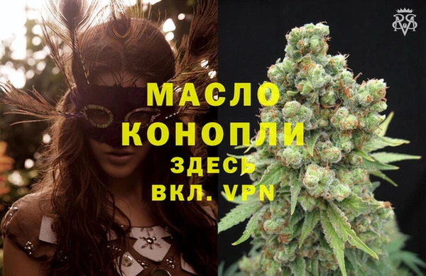 гидра Богданович