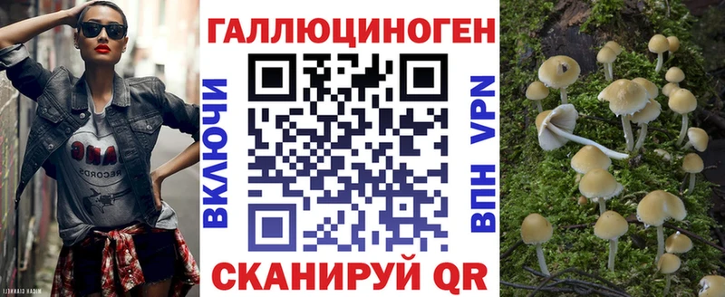 Галлюциногенные грибы MAGIC MUSHROOMS  цены наркотик  Свободный 