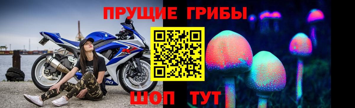 Свободный  Галлюциногенные грибы ЛСД  Псилоцибиновые грибы Magic Shrooms  Вход с VPN 